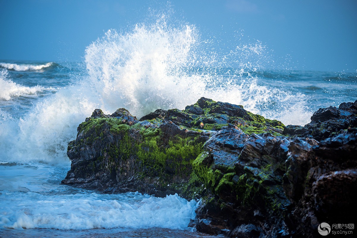 _DSC6339_.jpg