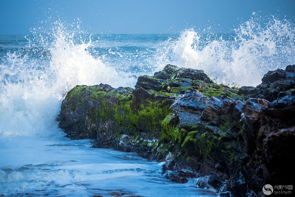 _DSC6338_.jpg