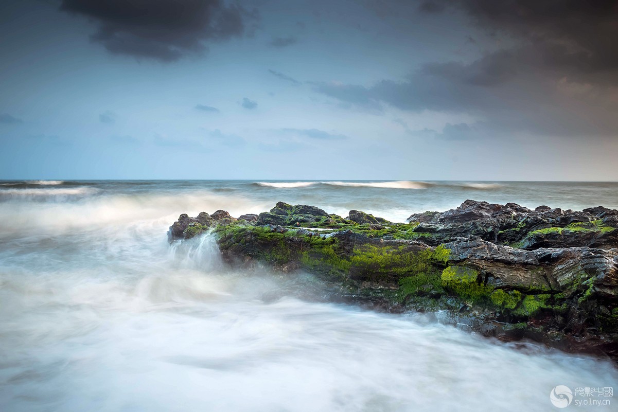 _DSC6405_.jpg