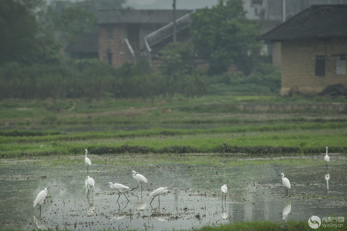 DSC_9765.jpg