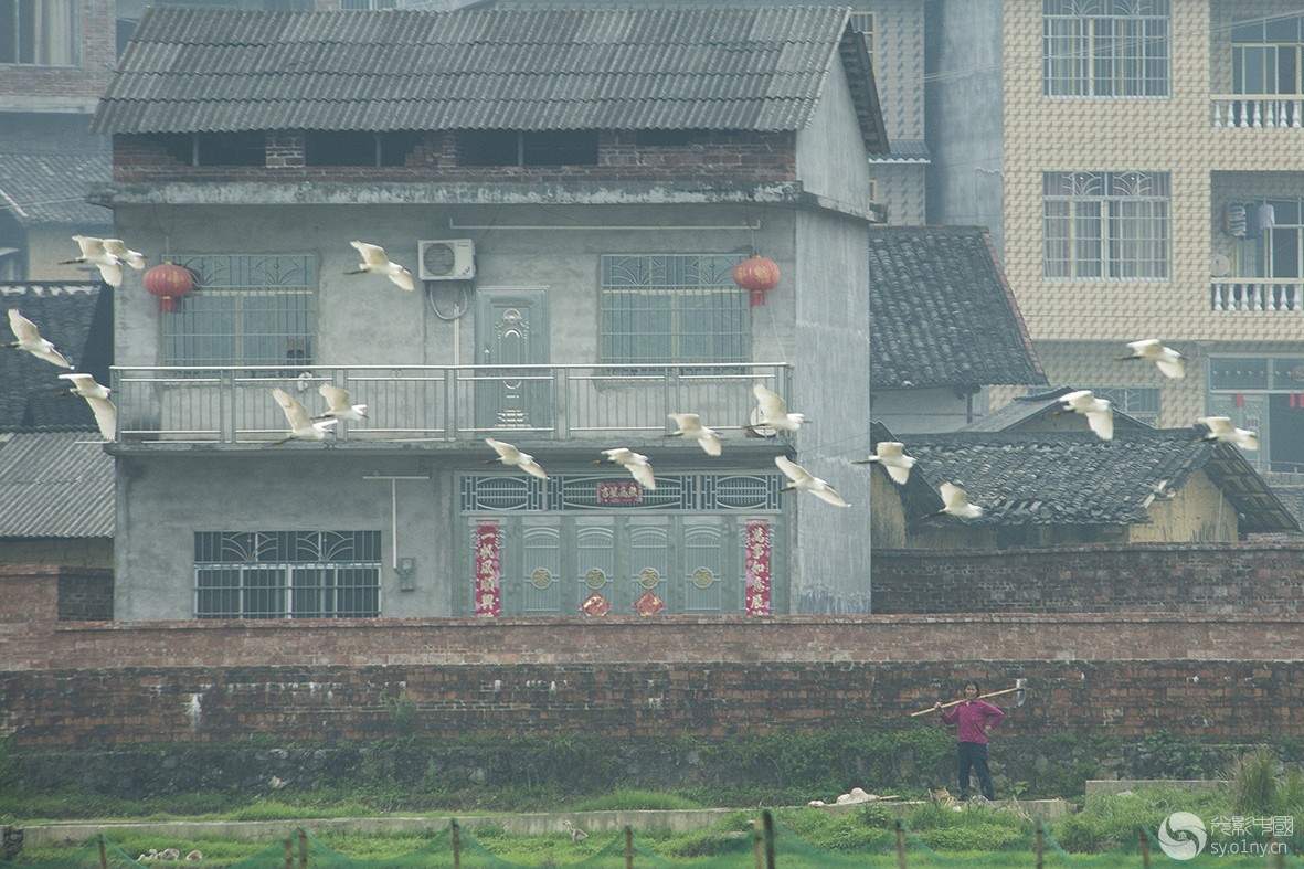 DSC_9748.jpg