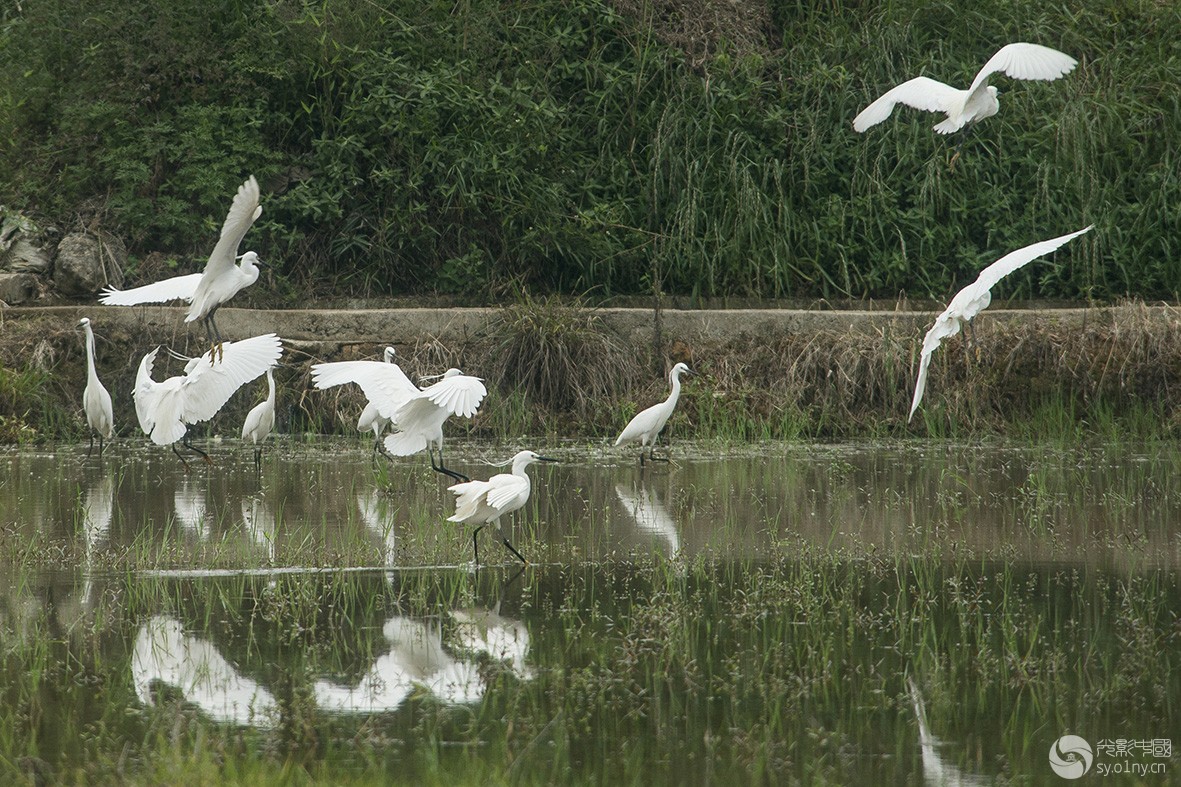 DSC_9729.jpg