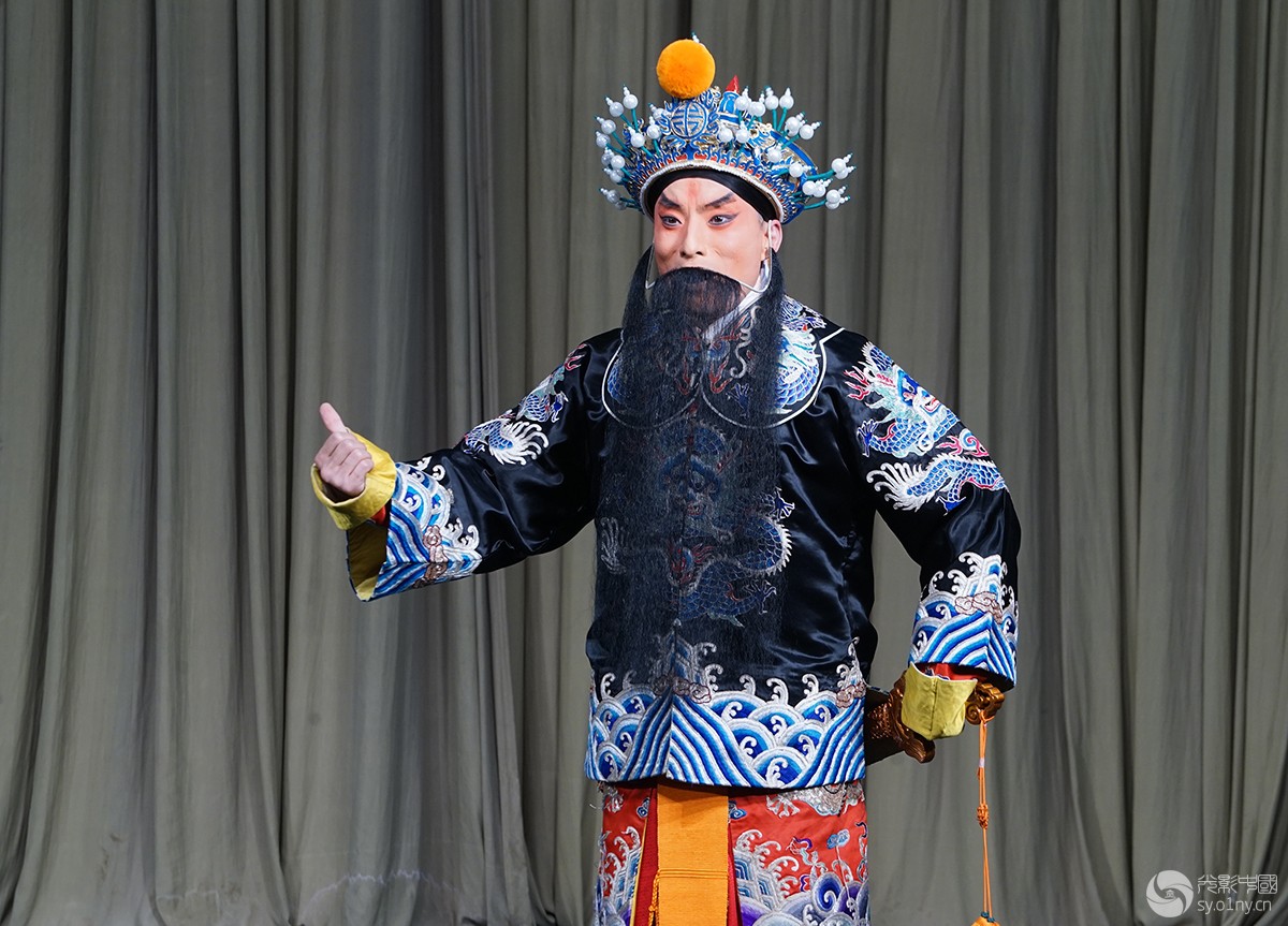 京剧武家坡10-舞台摄影-36行南阳社区-36.01ny.cn