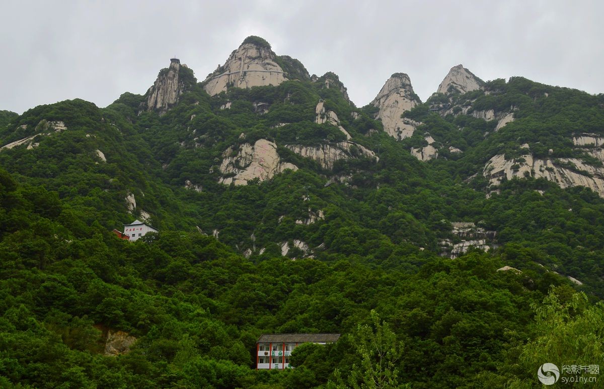 南召五朵山上风光美