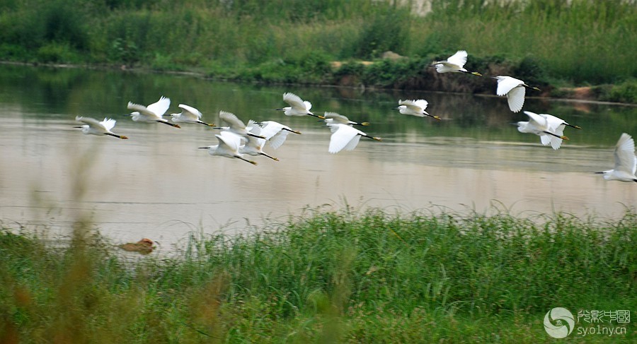 DSC_6744_.jpg