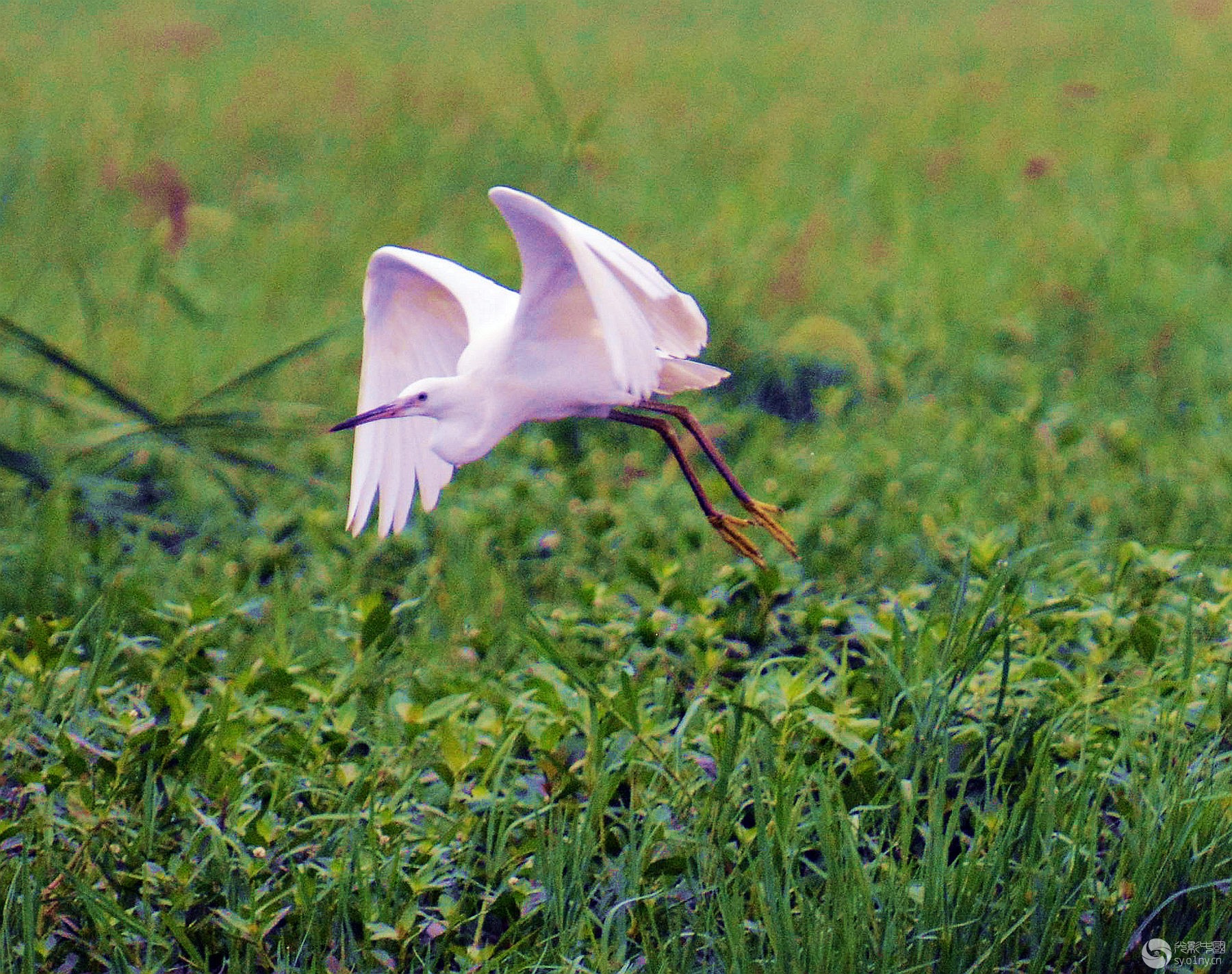 DSC_4967_.jpg