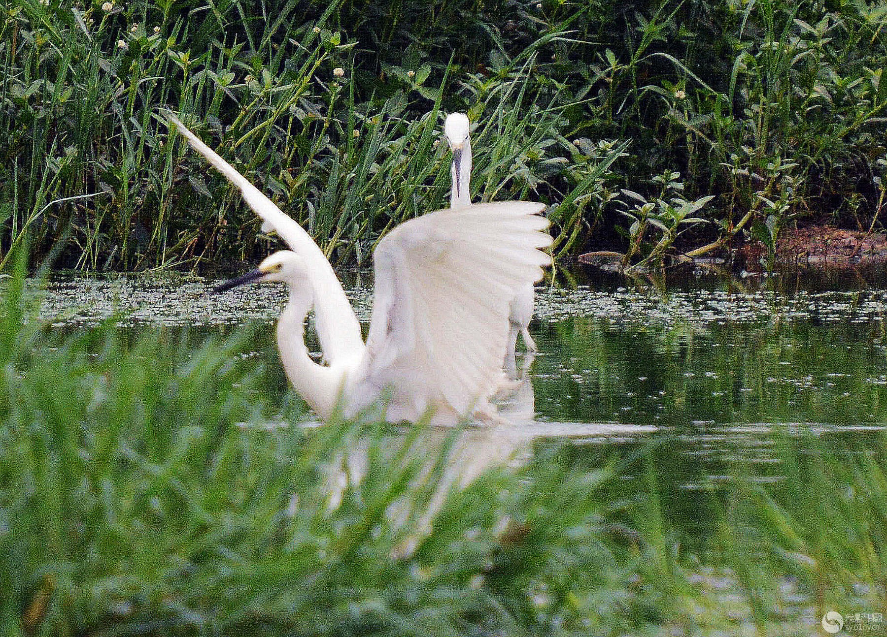 DSC_4977_.jpg