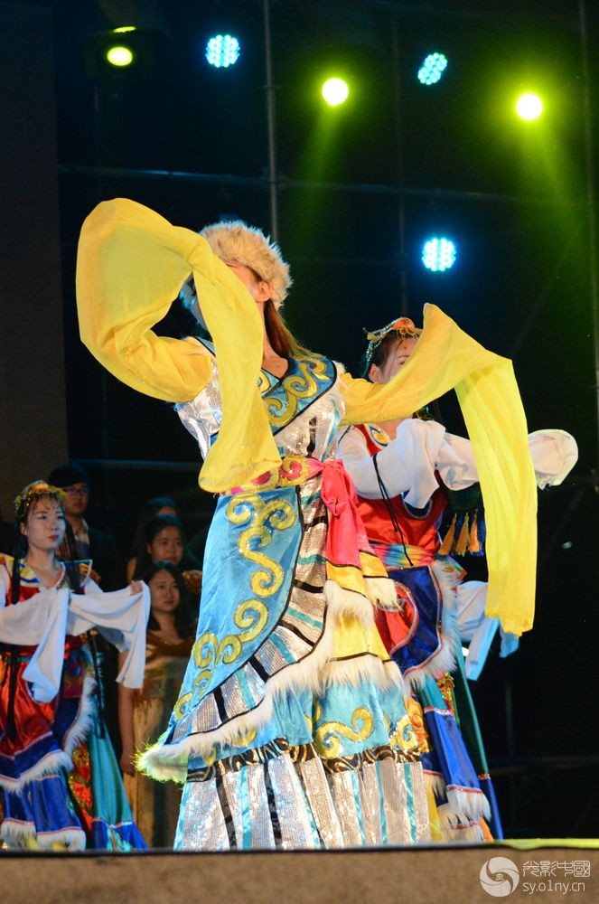 DSC_8182.JPG
