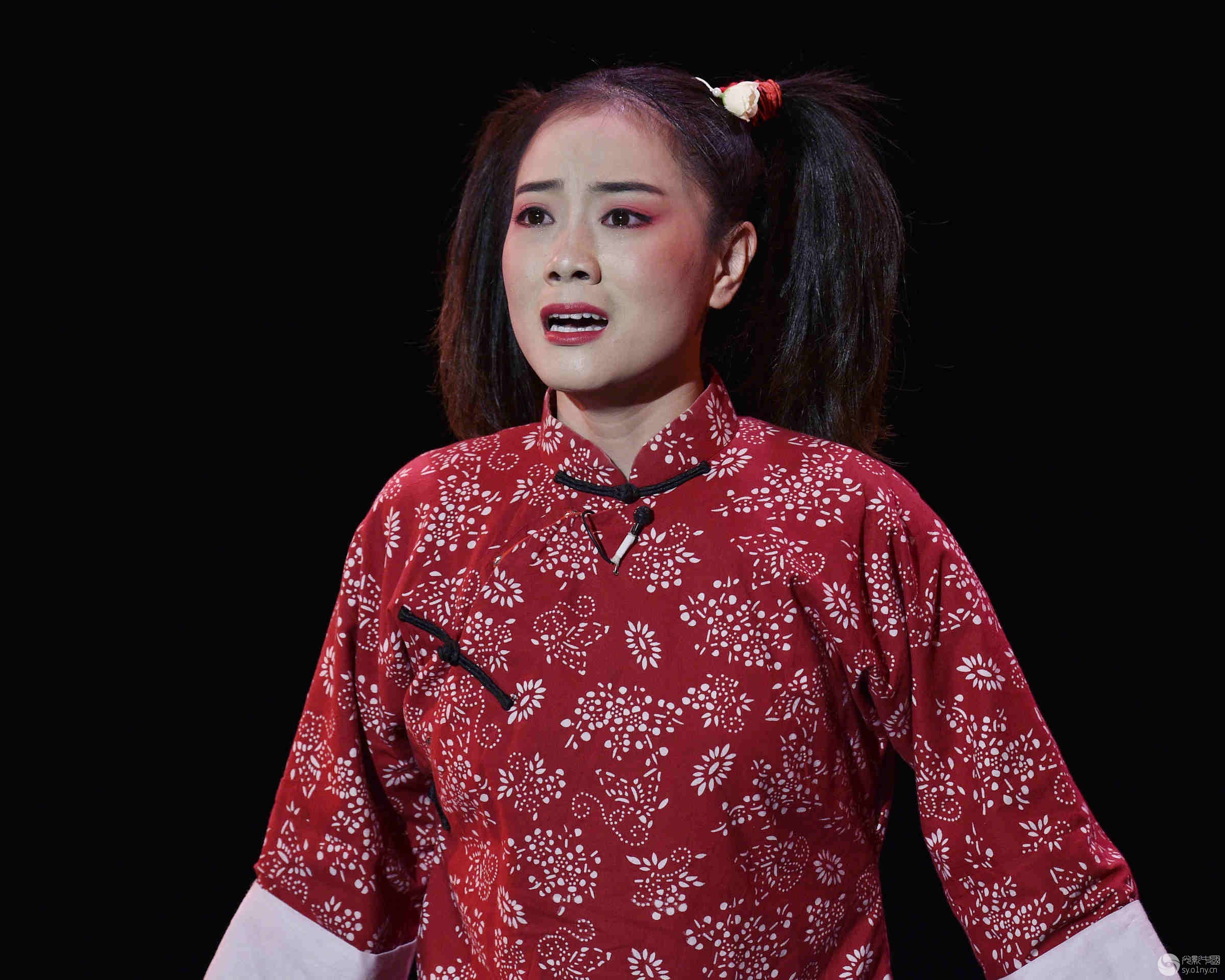 《桑树坪纪事》1-舞台摄影-36行南阳社区-36.01ny.cn