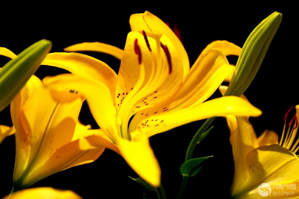 FM9A0631-9-1_-1.jpg