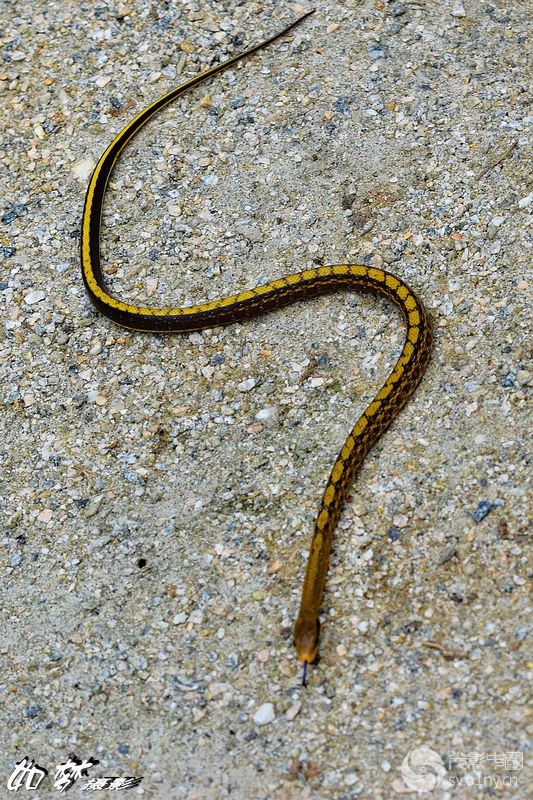 DSC_0292.jpg
