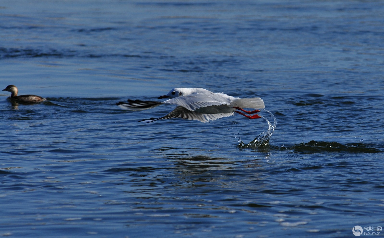 DSC_0026.JPG