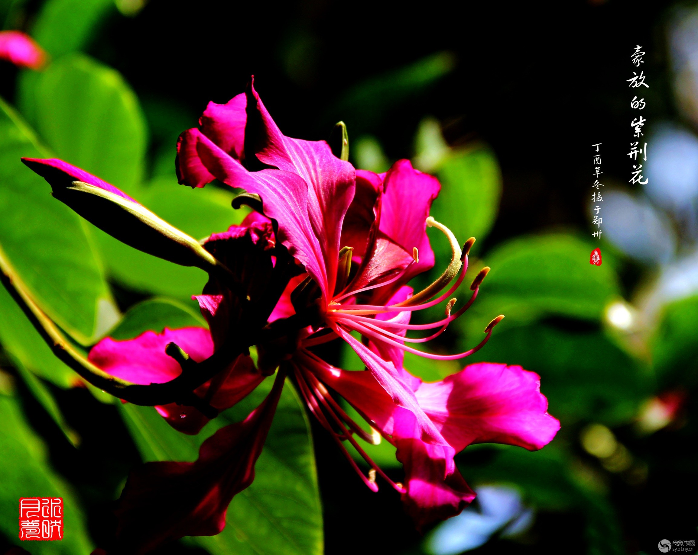 IMG_7353.jpg
