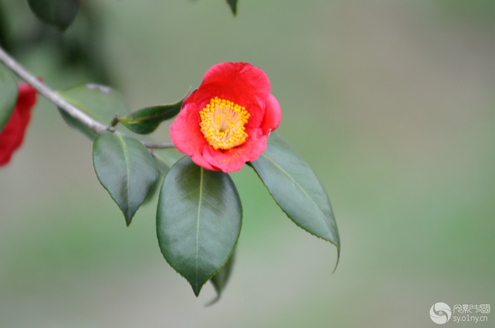DSC_0036.JPG