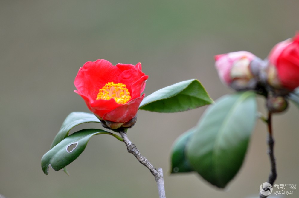 DSC_0045.JPG
