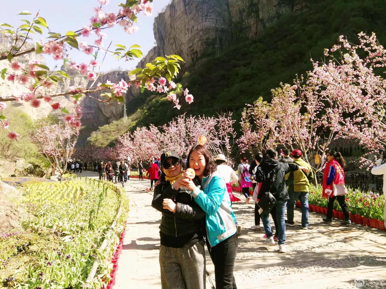 IMG_20180407_094518.jpg