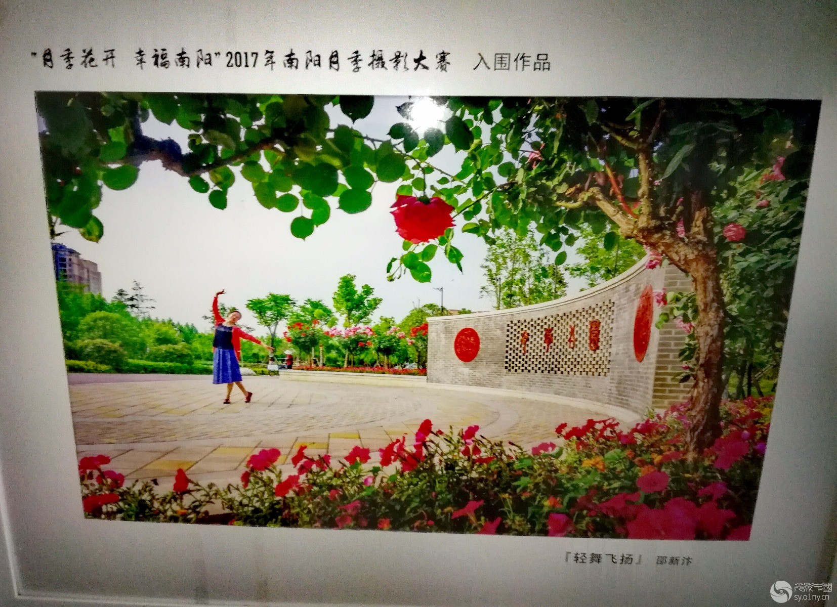 IMG_20180425_113551.jpg