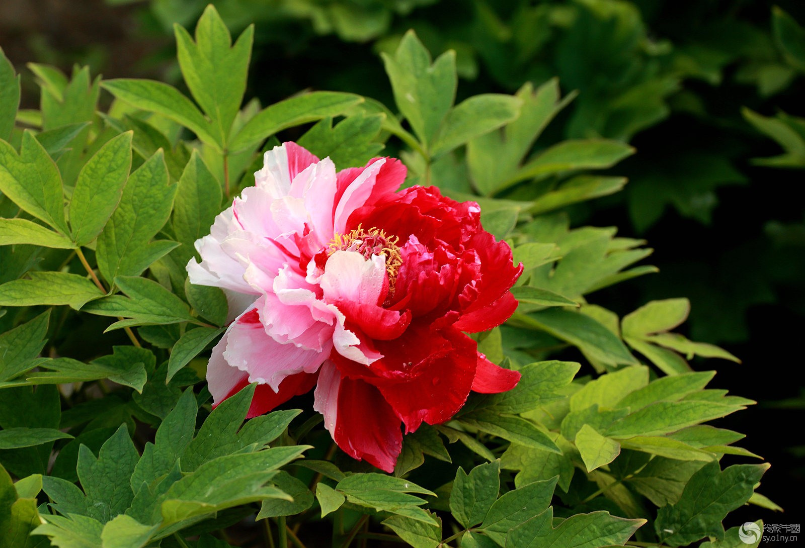 057A8779.JPG