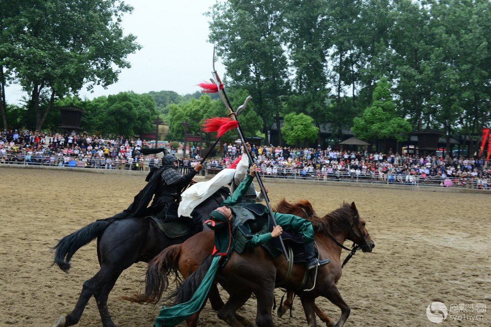 DSC_9293.jpg