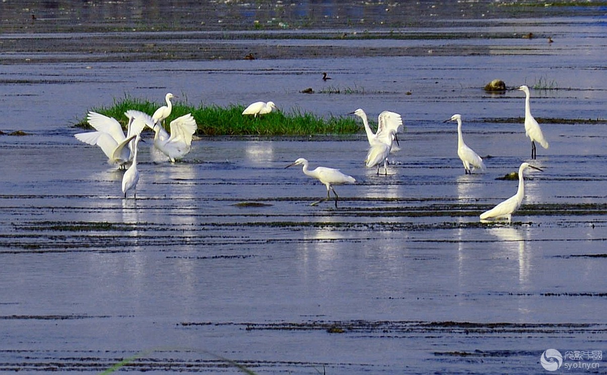 DSC_0307_.jpg