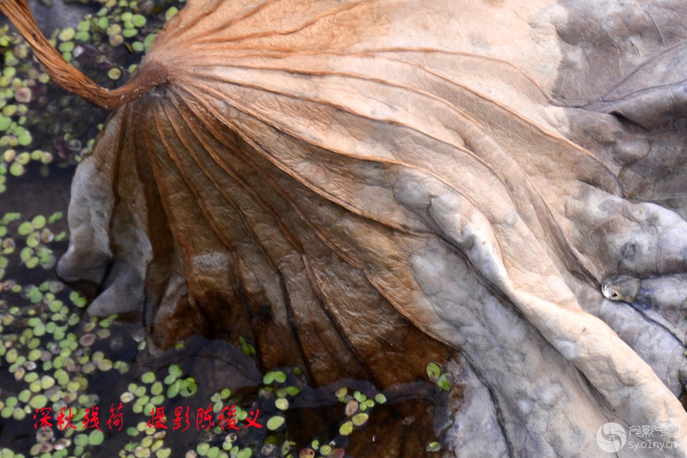 _DSC3425aaaaa.jpg