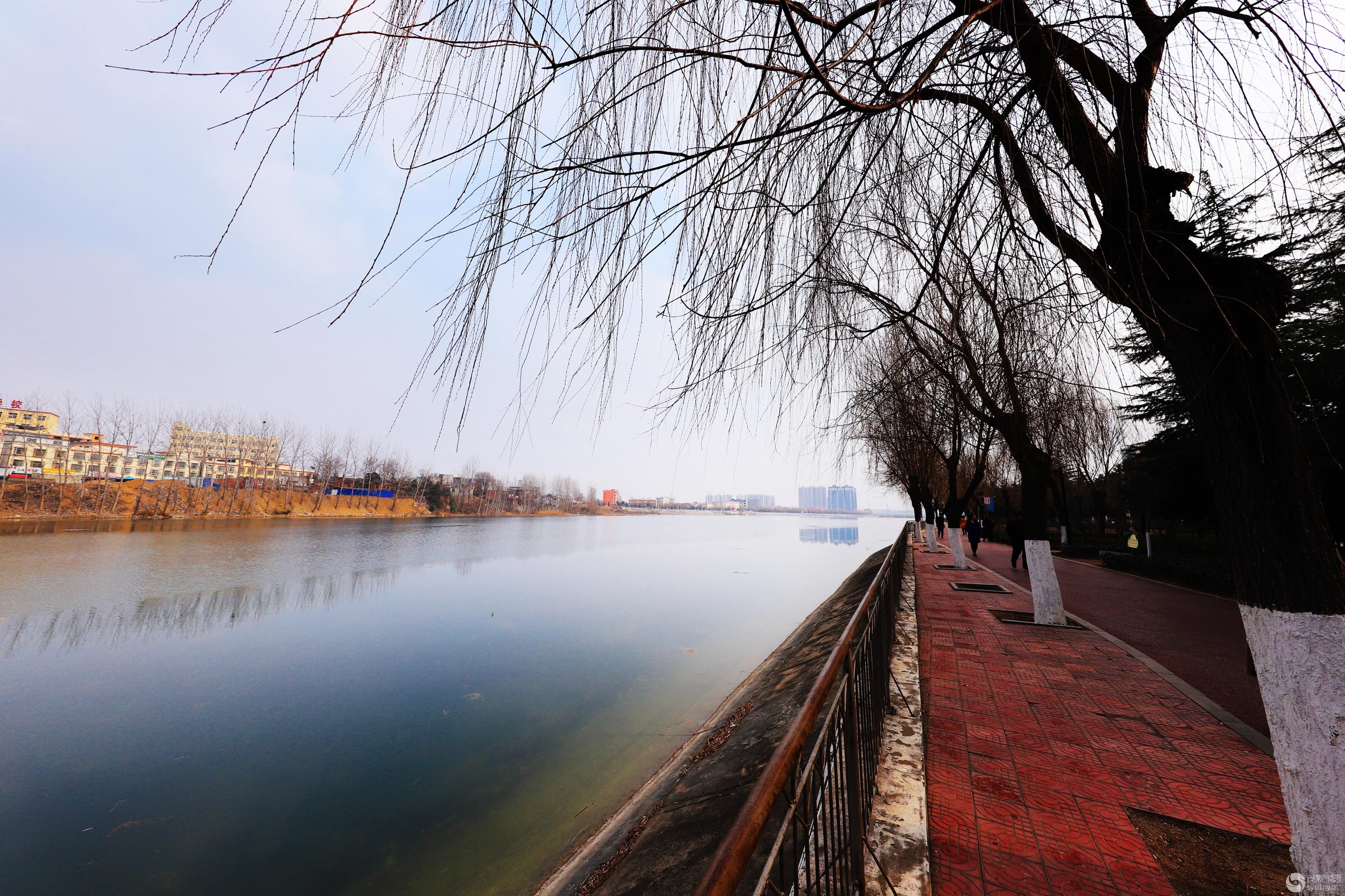 春之-不知季节已变换