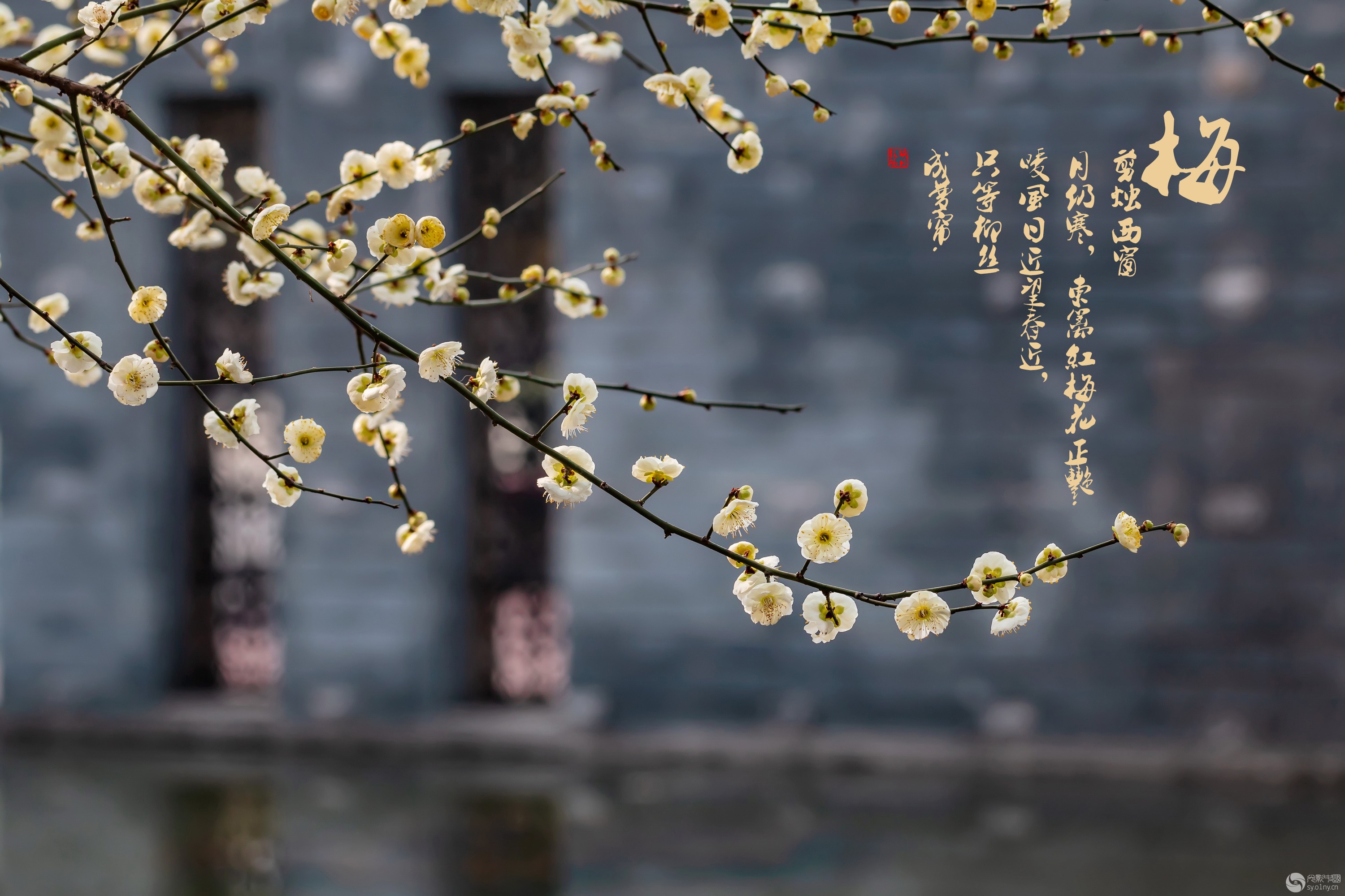 TIMͼƬ20190304112735.jpg