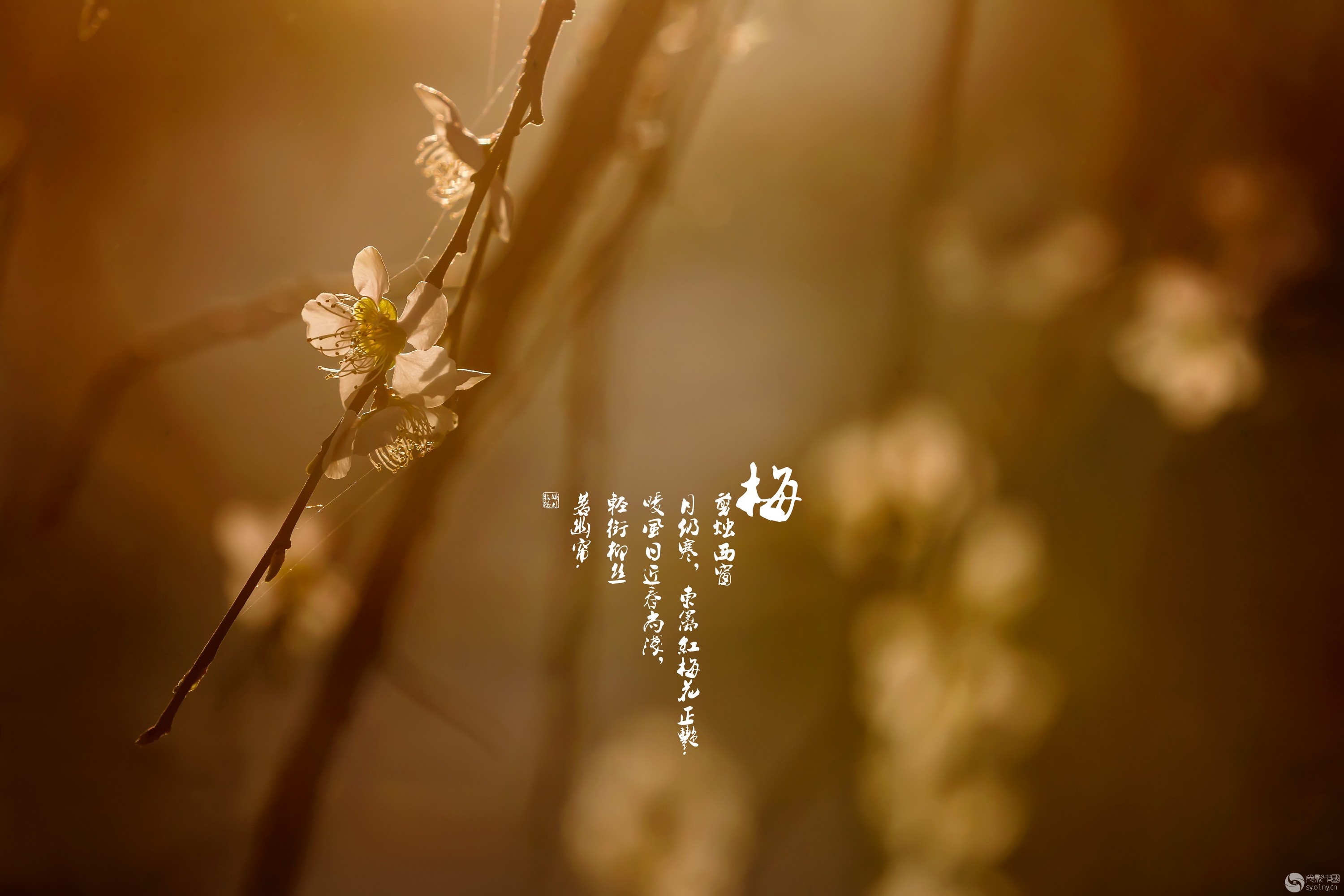 ΢ͼƬ_20190312162235.jpg