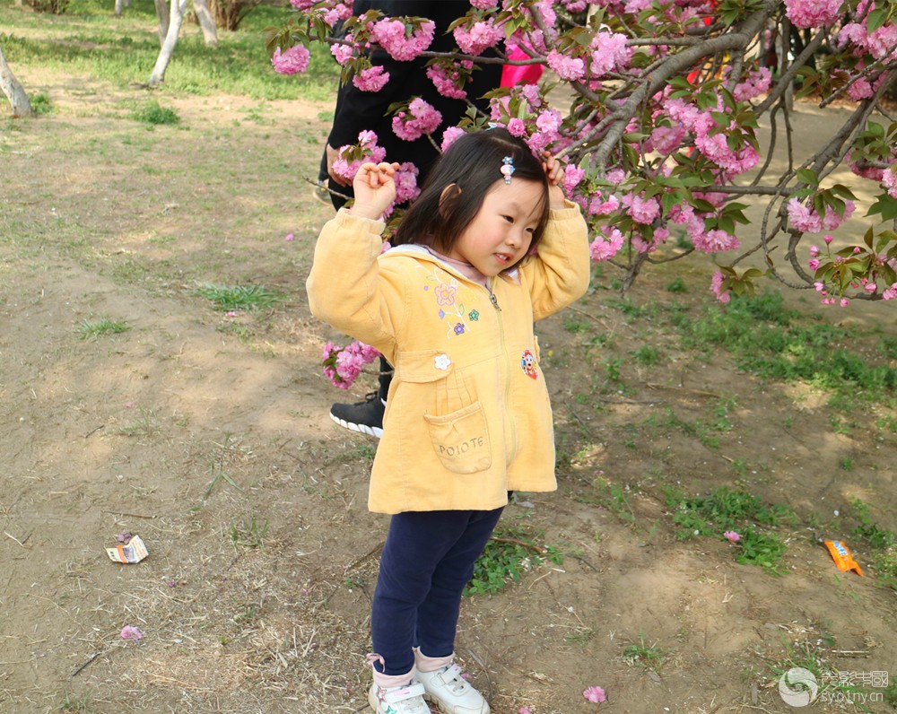 樱花树下的女孩2.jpg