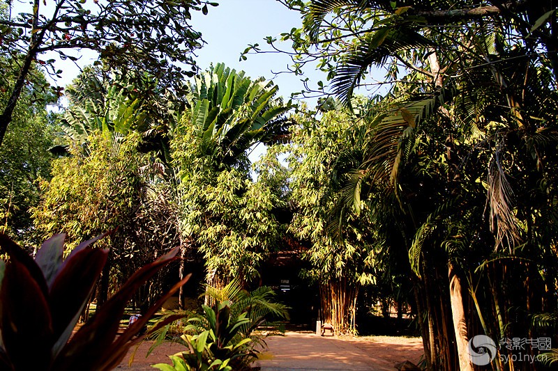柬埔寨大榕树文化村风光