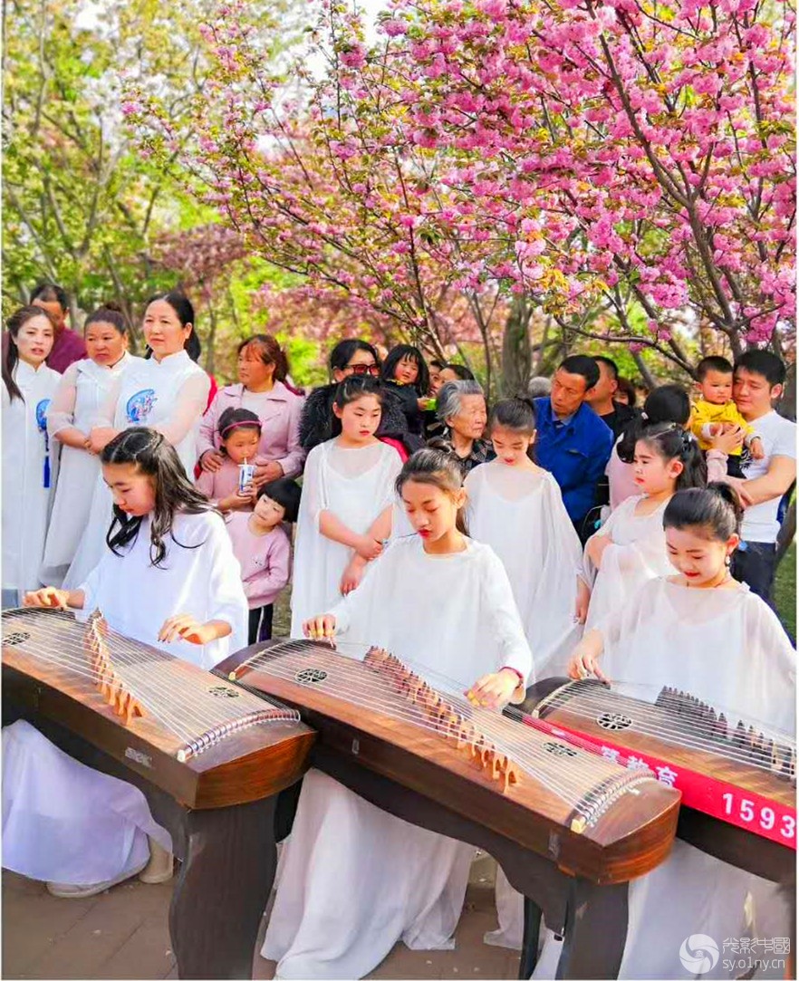 鹤壁樱花节花絮