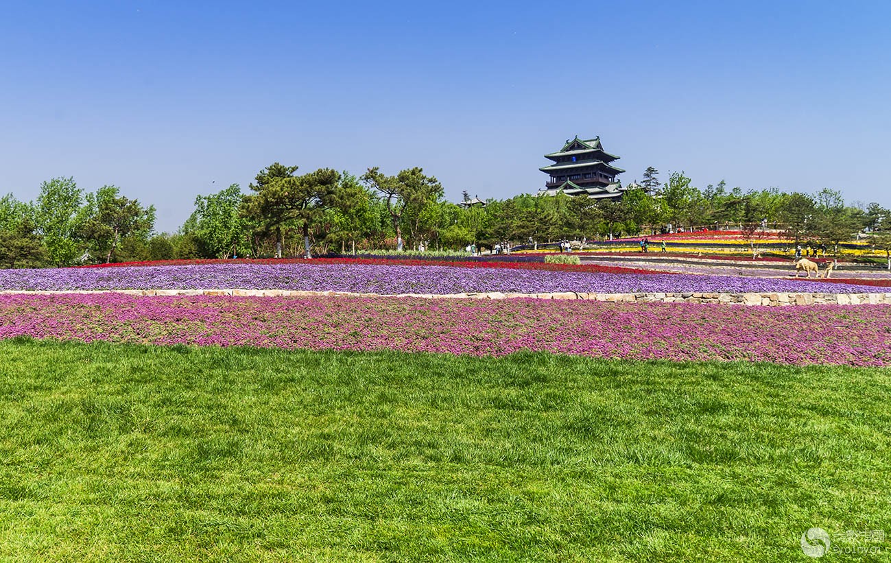 北京世园会—永宁阁(3)