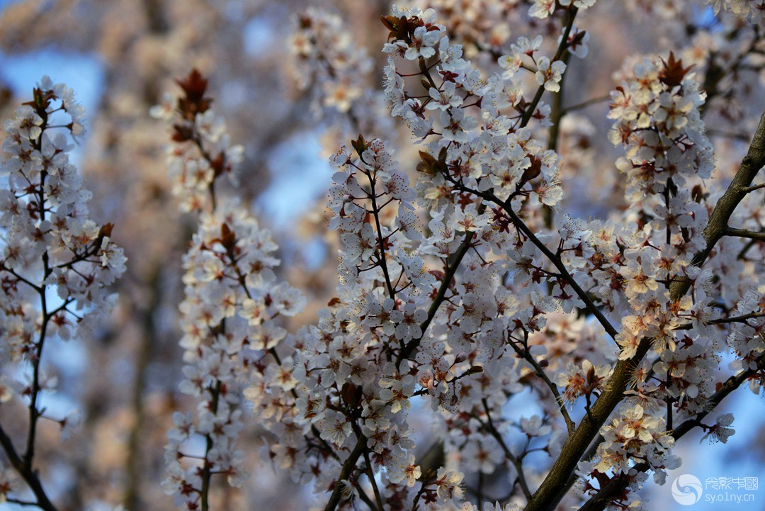 _DSC7083_.jpg
