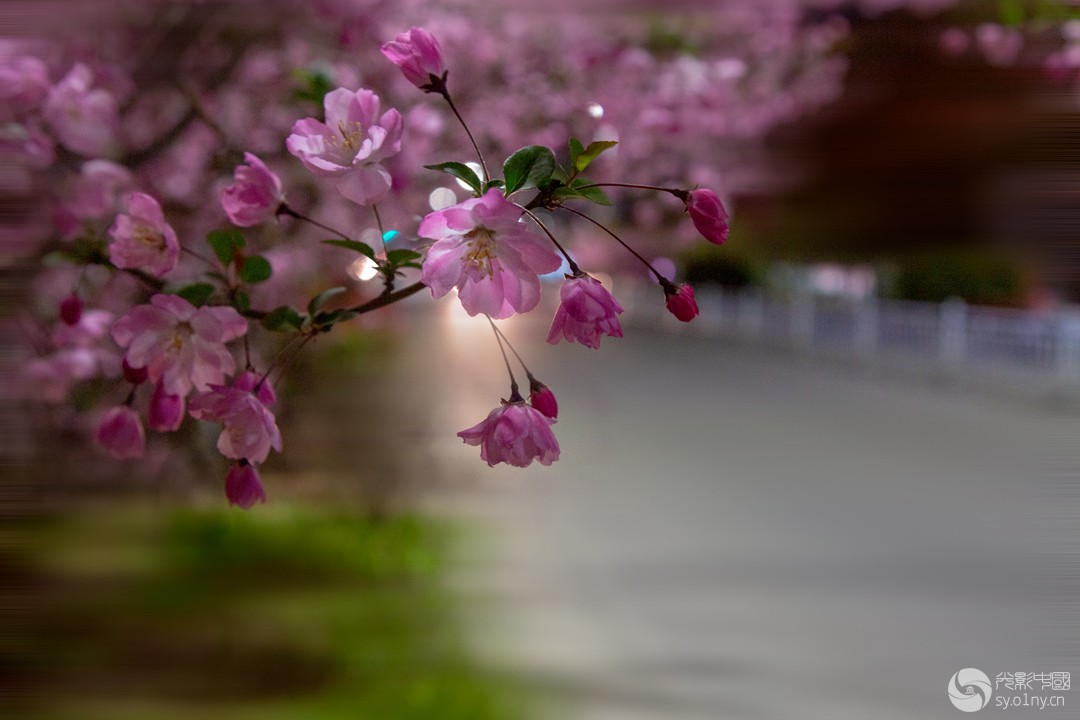 LI7A5511-1-----------------a_.jpg