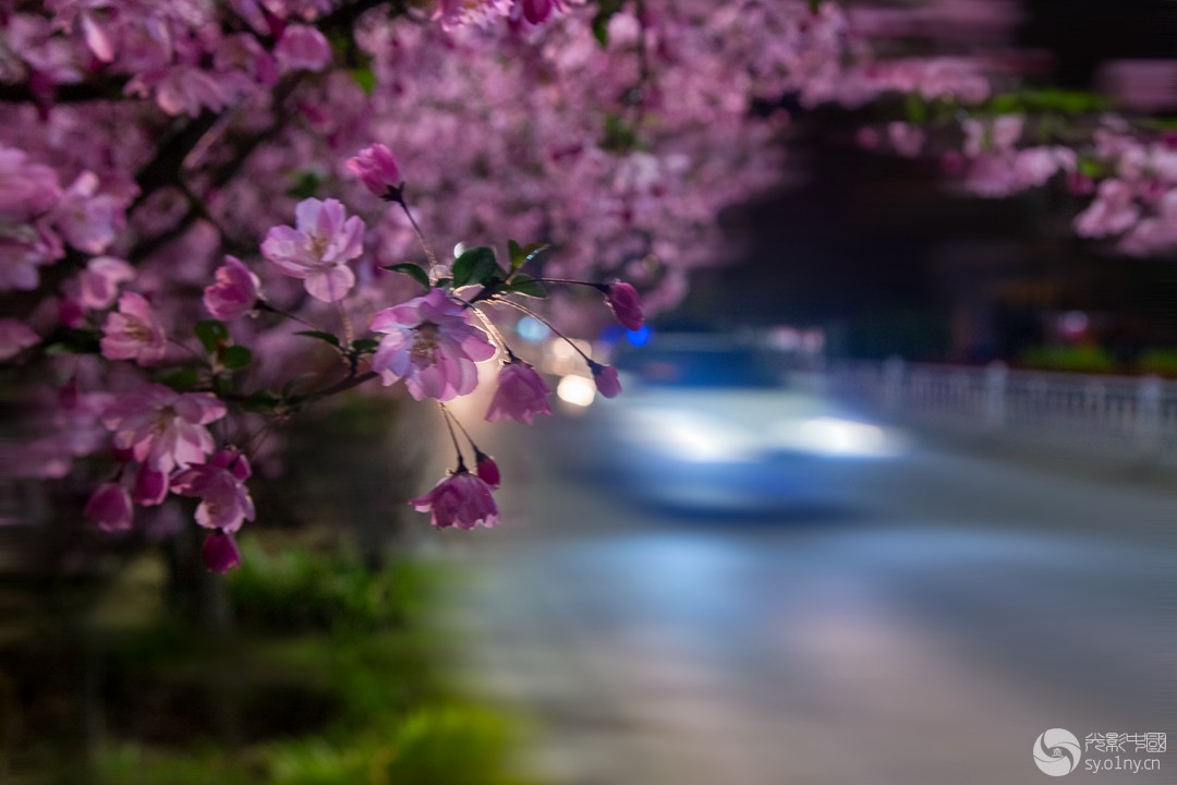LI7A5504-1------------------a_.jpg