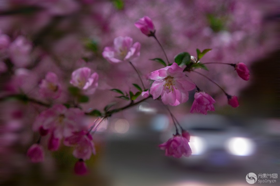 LI7A5562-1------------------a_.jpg