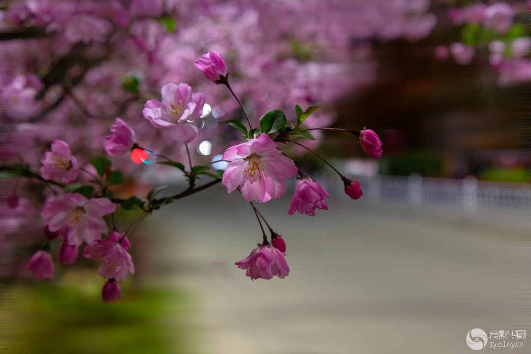 LI7A5505-1--------------a_.jpg