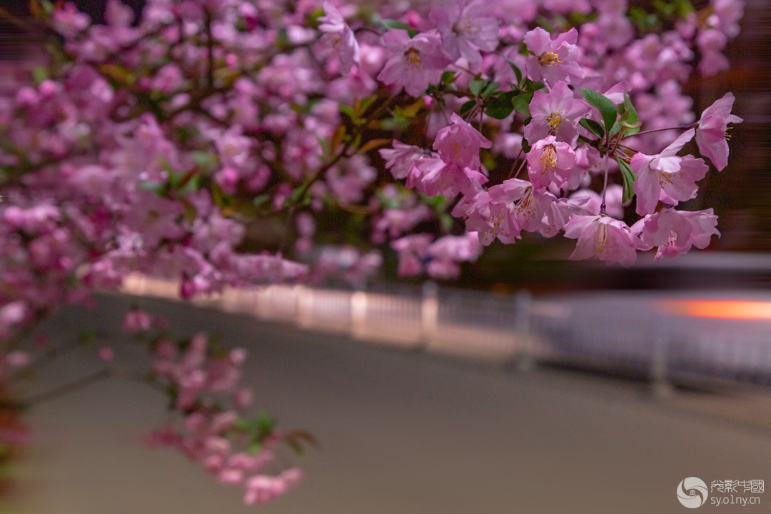 LI7A5593-1------------------a_.jpg