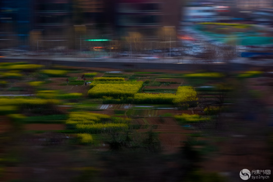 LI7A5397-1--------------a_.jpg