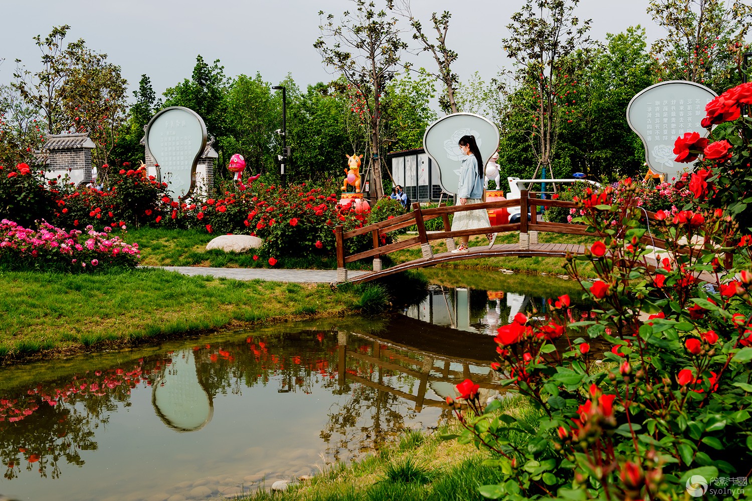 DSC_0155С.jpg