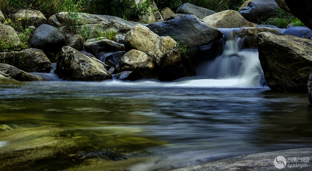 _DSC1524-1a.jpg
