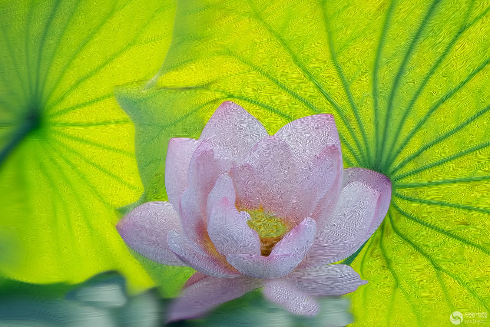 _DSC5316-------------f.jpg