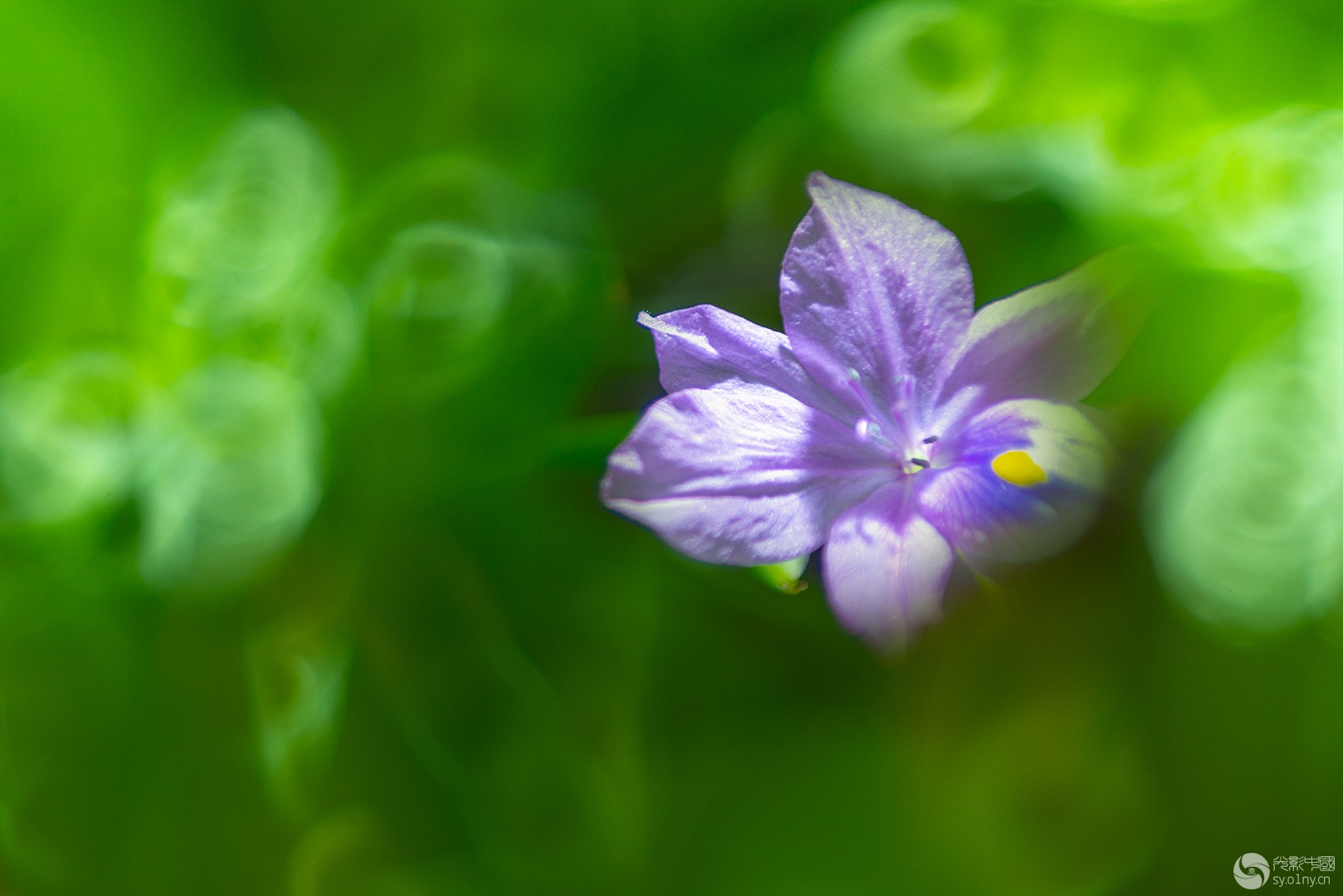 _DSC0024-----f.jpg