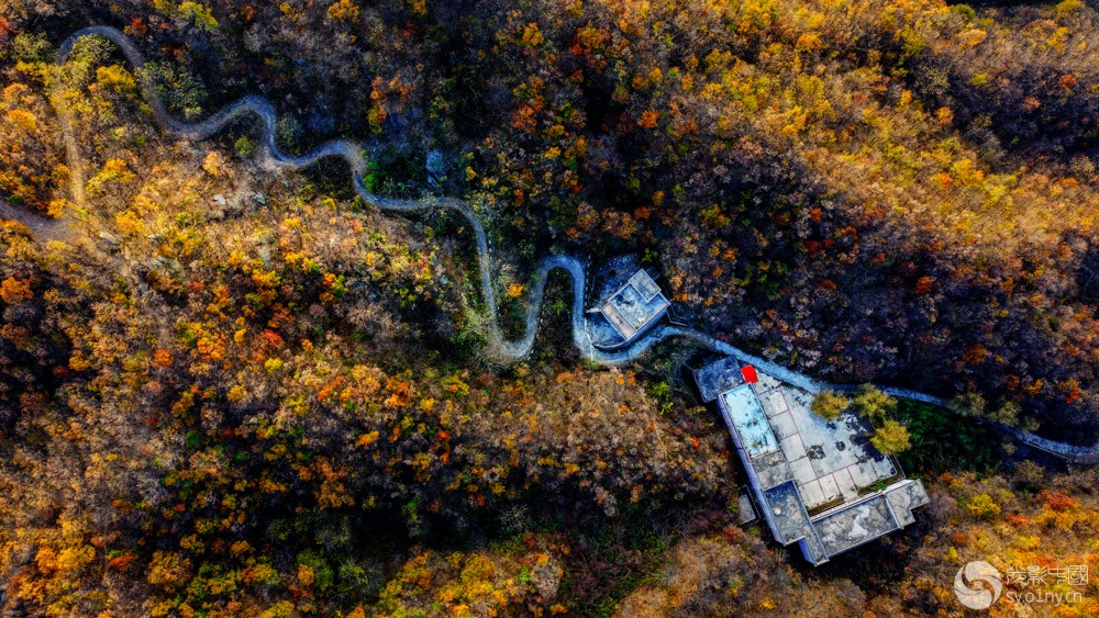 DJI_0666_1.jpg