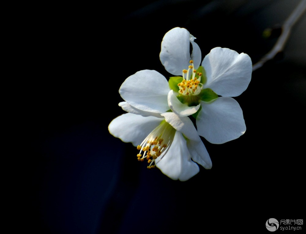 DSC_1926__.jpg