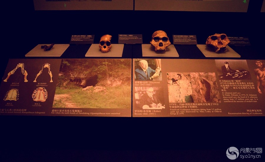DSC_2829_.jpg
