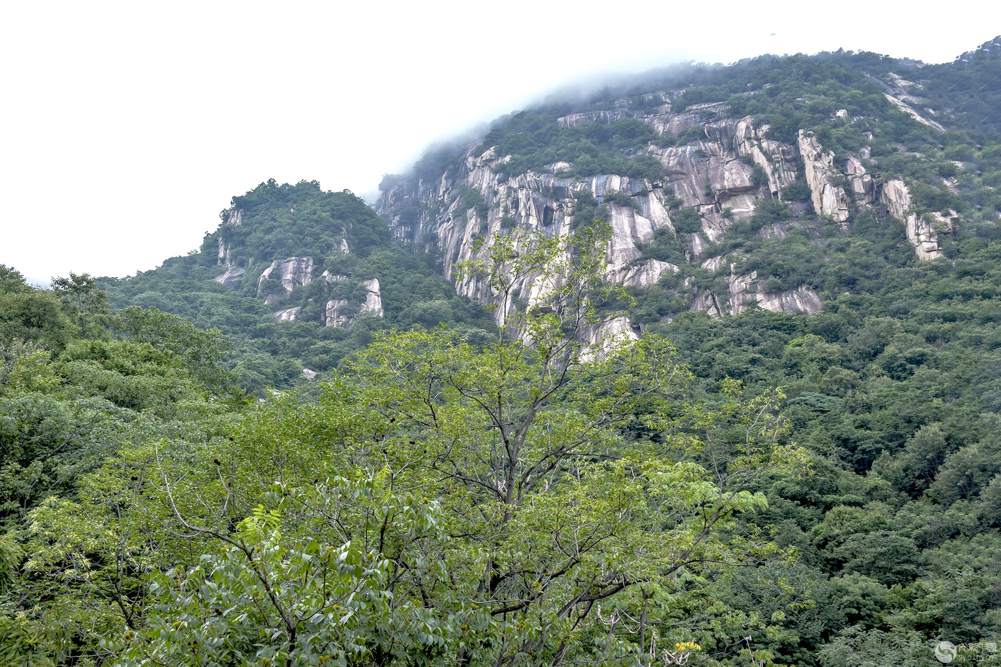 DSC_0057.jpg