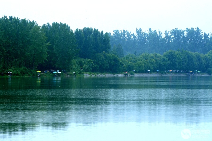 DSC_5154_.jpg