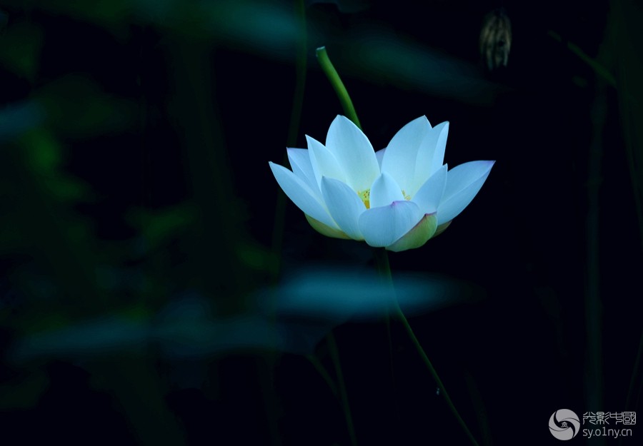DSC_5749_.jpg