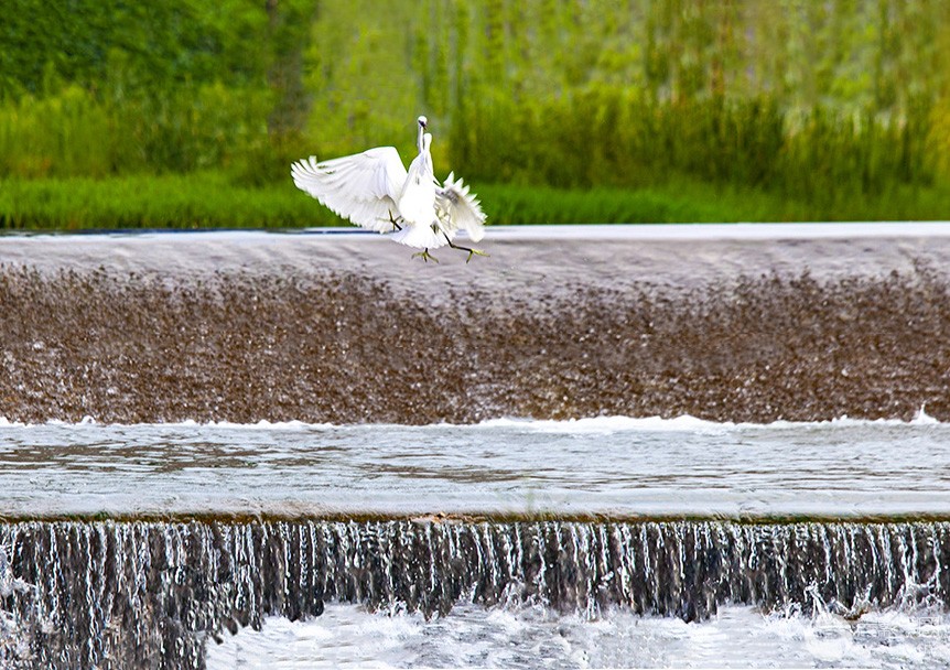 IMG_8647x.jpg